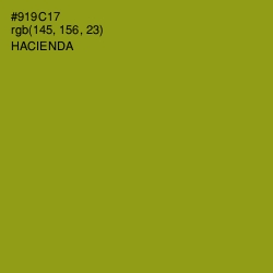 #919C17 - Hacienda Color Image