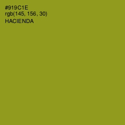 #919C1E - Hacienda Color Image