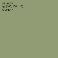 #919C74 - Gurkha Color Image