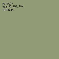 #919C77 - Gurkha Color Image