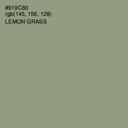 #919C80 - Lemon Grass Color Image