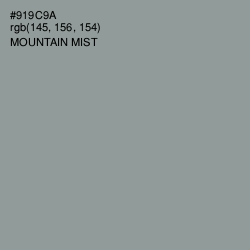 #919C9A - Mountain Mist Color Image