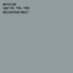 #919C9E - Mountain Mist Color Image