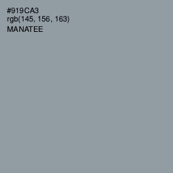 #919CA3 - Manatee Color Image