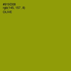 #919D08 - Olive Color Image