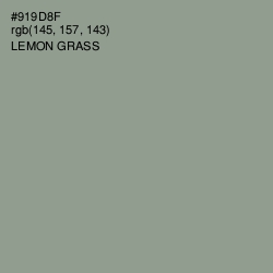#919D8F - Lemon Grass Color Image