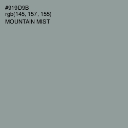 #919D9B - Mountain Mist Color Image