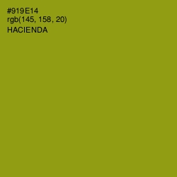 #919E14 - Hacienda Color Image