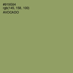 #919E64 - Avocado Color Image