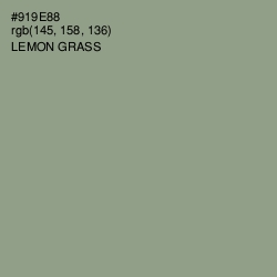 #919E88 - Lemon Grass Color Image