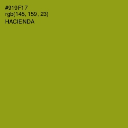 #919F17 - Hacienda Color Image