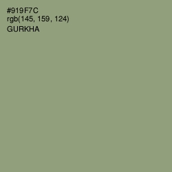 #919F7C - Gurkha Color Image