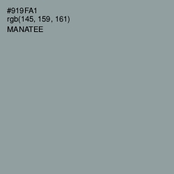 #919FA1 - Manatee Color Image