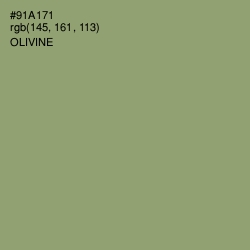 #91A171 - Olivine Color Image