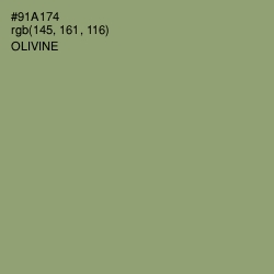 #91A174 - Olivine Color Image