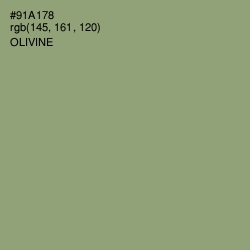 #91A178 - Olivine Color Image