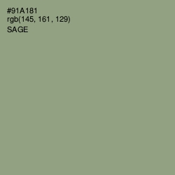 #91A181 - Sage Color Image