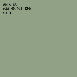 #91A186 - Sage Color Image