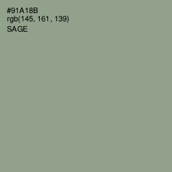 #91A18B - Sage Color Image