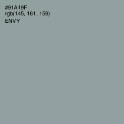 #91A19F - Envy Color Image