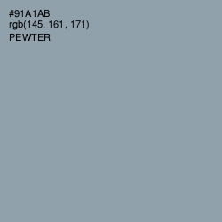 #91A1AB - Pewter Color Image