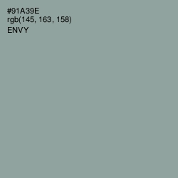 #91A39E - Envy Color Image