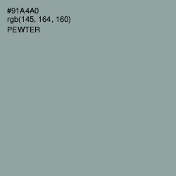 #91A4A0 - Pewter Color Image