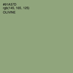 #91A57D - Olivine Color Image