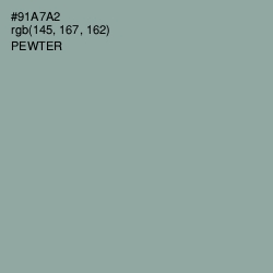 #91A7A2 - Pewter Color Image