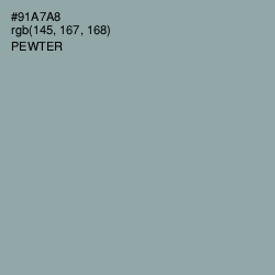 #91A7A8 - Pewter Color Image
