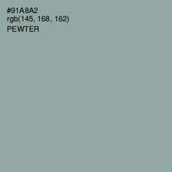 #91A8A2 - Pewter Color Image