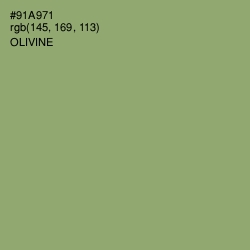 #91A971 - Olivine Color Image