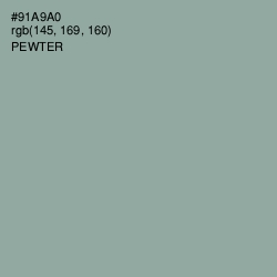 #91A9A0 - Pewter Color Image