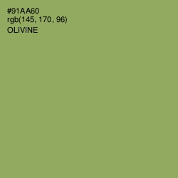 #91AA60 - Olivine Color Image