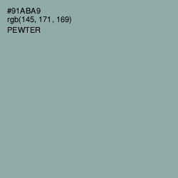 #91ABA9 - Pewter Color Image