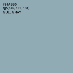 #91ABB5 - Gull Gray Color Image