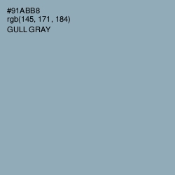 #91ABB8 - Gull Gray Color Image