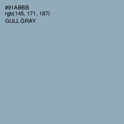 #91ABBB - Gull Gray Color Image