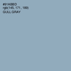 #91ABBD - Gull Gray Color Image