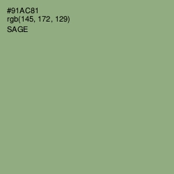 #91AC81 - Sage Color Image