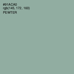 #91ACA0 - Pewter Color Image