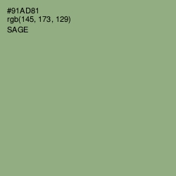 #91AD81 - Sage Color Image