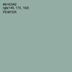 #91ADA2 - Pewter Color Image