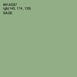 #91AE87 - Sage Color Image