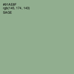 #91AE8F - Sage Color Image