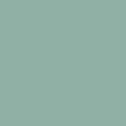 #91B0A5 - Summer Green Color Image