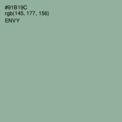 #91B19C - Envy Color Image
