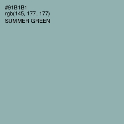 #91B1B1 - Summer Green Color Image