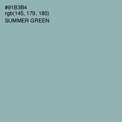 #91B3B4 - Summer Green Color Image