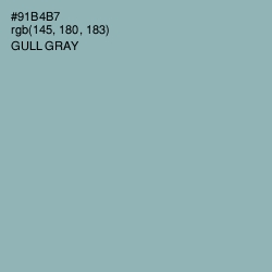 #91B4B7 - Gull Gray Color Image